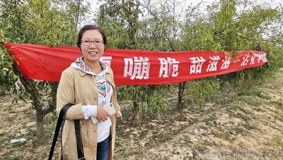 [原创]省派第一书记助力枣农卖冬枣