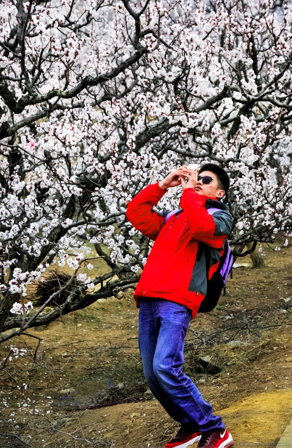 《为张夏美景竞折腰》