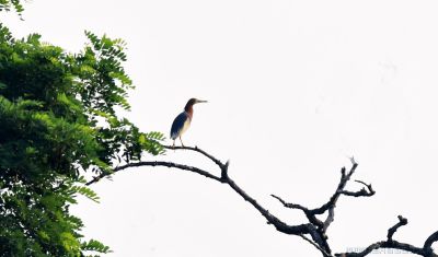 [原创]登高望远