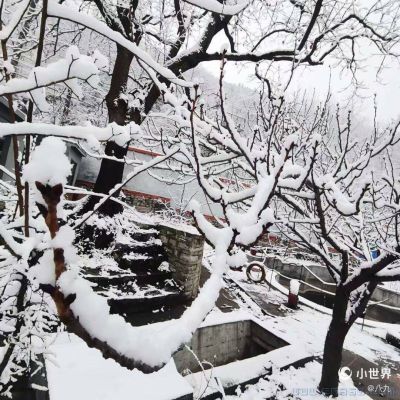 [原创]融雪