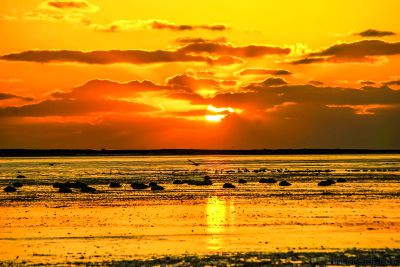 《梦幻车祝沟》