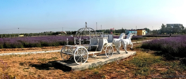 《如梦似幻的佰泽园》