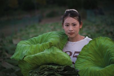 晾晒荷叶的大学生