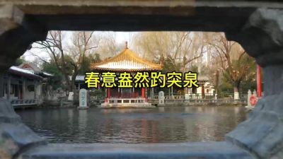 春意盎然趵突泉