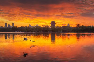 明湖朝霞红胜火