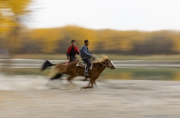 [原创] 疾风般。。。。。。