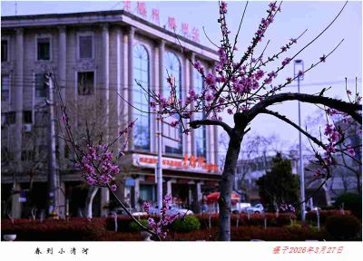 春到城河边——9