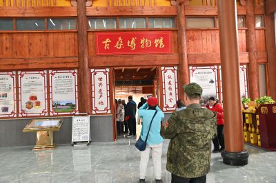 夏津县德百旅游小镇7