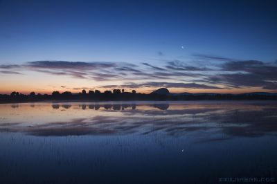 内蒙古乌兰布统将军狍子