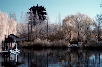 大明湖的冬(红外拍摄)