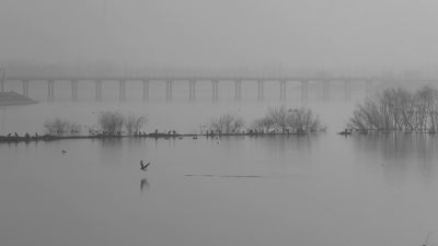 济南天桥沉砂池晨雾