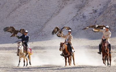 南疆阿合奇猎鹰表演（1）