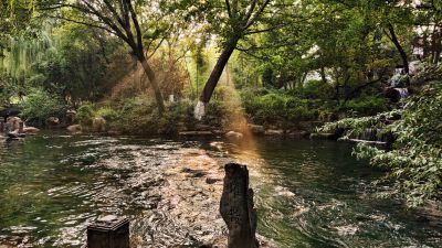 金色的秋天，金色的光