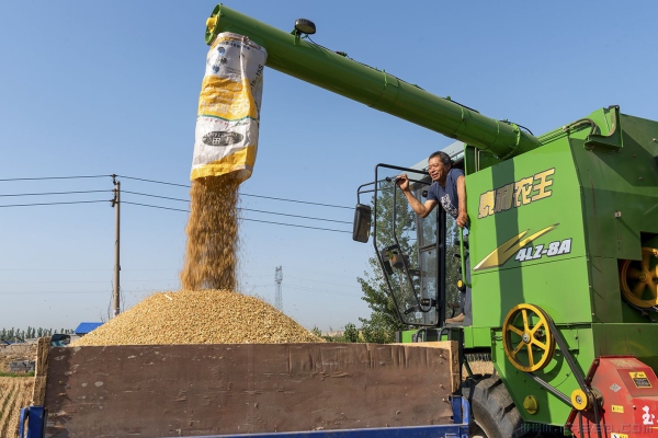 颗粒归仓乐开怀