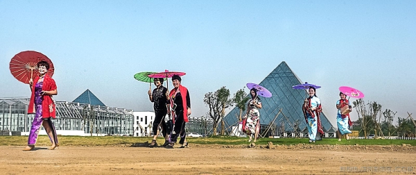 《美丽花博会任徜徉》