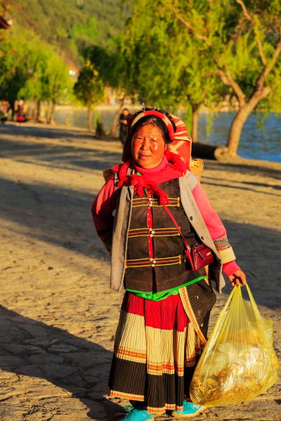 《山野的馈赠》