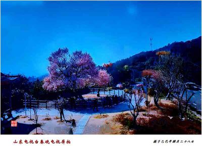 山东电视台春晚电视屏拍——4