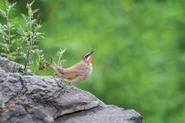 [原创]中秋节快乐