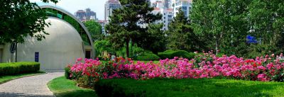 [原创]海边公园