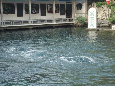 拍照打卡赏泉，趵突泉畔人头攒动