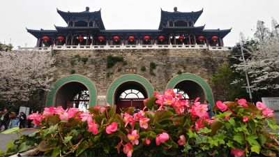 南京玄武湖踏青赏花19