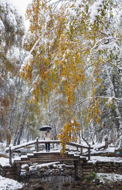 新疆北部秋色行摄之旅 —— 雪中禾木村