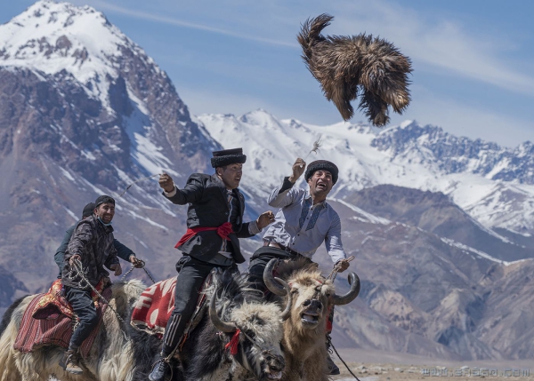 冰山下的叼羊比赛（组照）