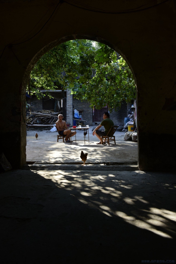 《葡萄架下话脱贫》