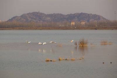 济南天桥沉沙胡风景7