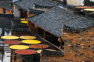 《瓦舍秋晒色斑斓》