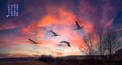 原创：回归家园