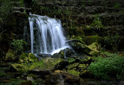 青州北崔崖小景