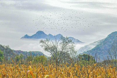 空山新雨后，天气晚来秋