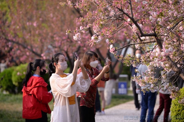 [原创]难忘的春天