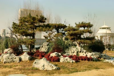 寒影初回长日至（1）