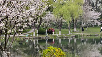 南京玄武湖踏青赏花11