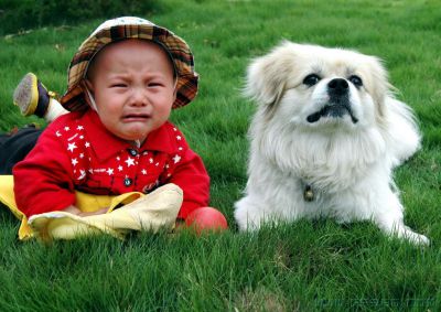 [原创]爱莫能助