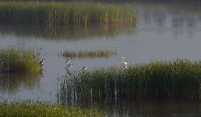 [原创]静谧时光