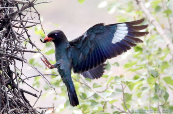 不忘初心牢记使命（组照）