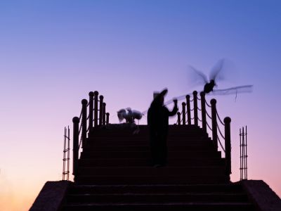 运河岸边放鹰人