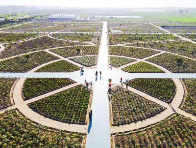 [原创]规划有序的菏泽牡丹园