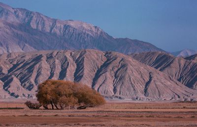 [原创]  南疆风光