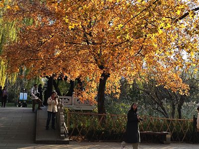 冬日暖阳，明湖风光美