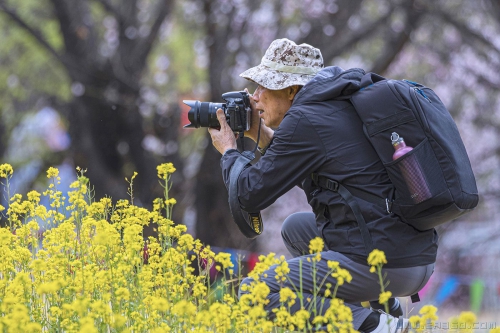 [原创]寻机而动