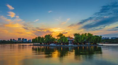 半湖瑟瑟半湖红