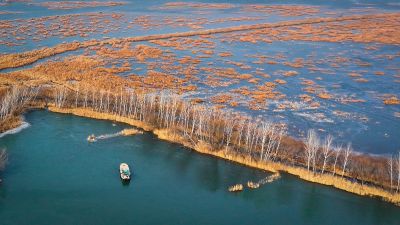 胡传智《东方摄影 · 我的2025》