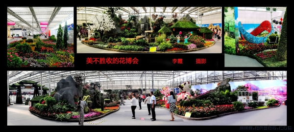 《美不胜收的花博会》