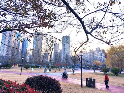 市民公园的早晨5