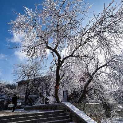 冰晶树下的登山人