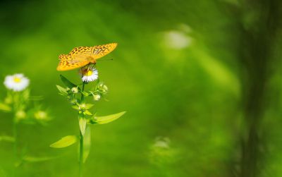 2025年6月22日徒步